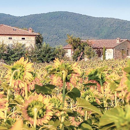 Ferienwohnung Tulipano Pievescola Exterior foto